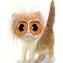 Pascal Widmer - @pasci01 - Twitter