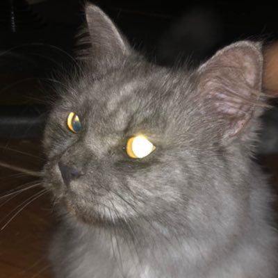 Len_on_Venus's profile picture. lazy artist