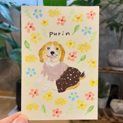 sadokinenbi1024's profile picture. 去年の8月から佐渡に移住してきました🤗 知り合いも少ないので、仲良くしてください❣️ よろしくお願いします🤲