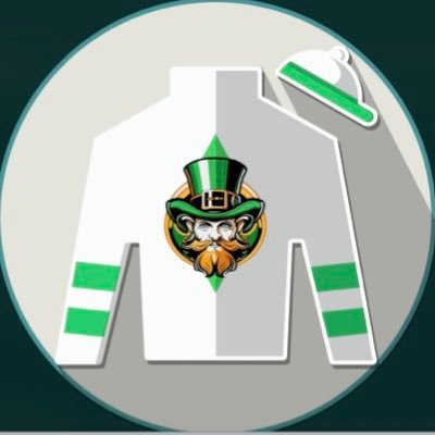 🇮🇪 The Irish Rovers ~ Photo finish live 🐎