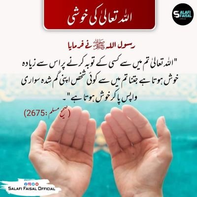 zuhaib190178604's profile picture. Crypto invester