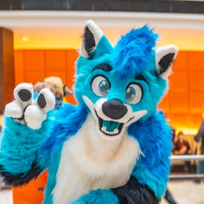 22 | he/him | Blue Fox 💙🦊 | 🏳️‍🌈| Suit by @TheKneadery | Next Con: AC?