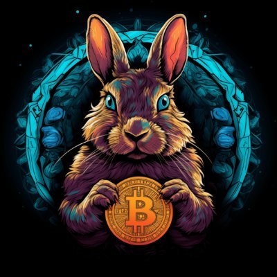 Store of Value🧡⚡️Bitcoin Merch & Apparel Store