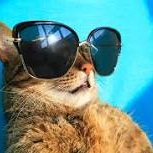 عادل (@3adls3d_20) Twitter profile photo