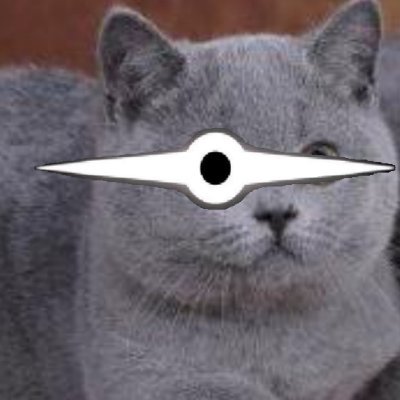 ssfxiancat's profile picture.
