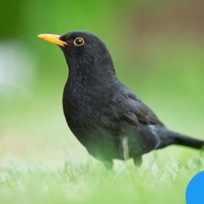 Arsyad711371159's profile picture. 