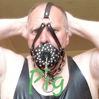 Old gay Sub pig fag with Interest in BDSM,dirty, kinky, feeding, ns, Training and Humiliation by an Asia master. Seeks ASIA,latino, german master🔞🔞🐷
#pig