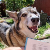 John A Thompson 🇬🇧💙💛🇺🇦 (@john_hagar) 's Twitter Profile