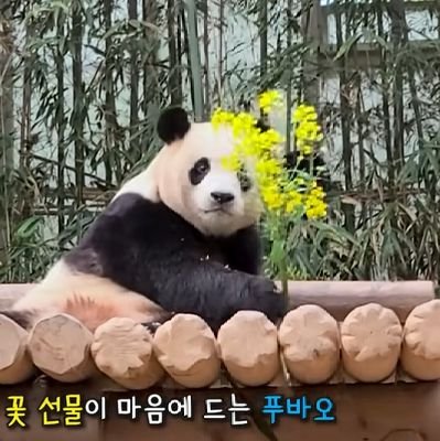 eunseul5's profile picture. 행복해바옹🍑❤