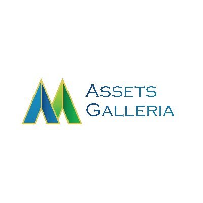 AssetsGalleria Profile Picture