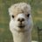 AquEstoyYo6's profile image