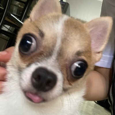 miss u wonu