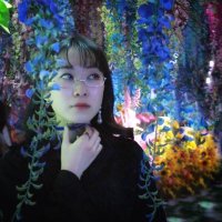 春乃ひめか (@haruno_himeka) 's Twitter Profile