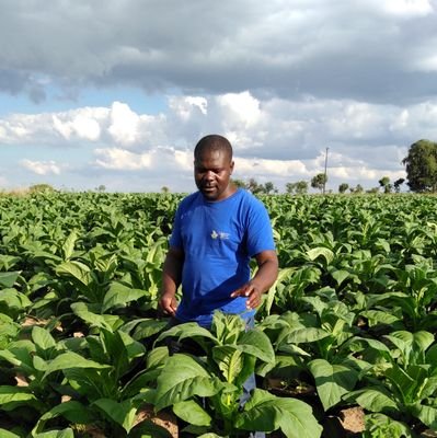 Full Time Farmer | Land Owner | Patriotic | Winner | https://t.co/EkOmmAHBJv. Agrisciences | Hons Financial Management | Pro-Zimbabwe šæš¼ | Pro-Africaš