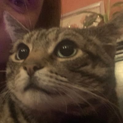 floppyfish696's profile picture. 