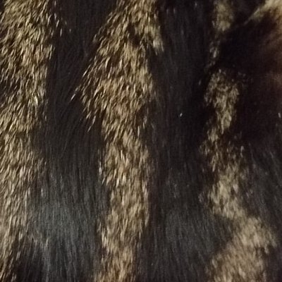 adribo29's profile picture. 
