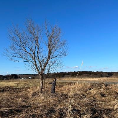 秋田県大仙市で農業をしてます。