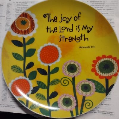 Always looking for ways to serve the LORD, blessed of God to do His work . Like to learn everything I can to help Christian conservatives in government.