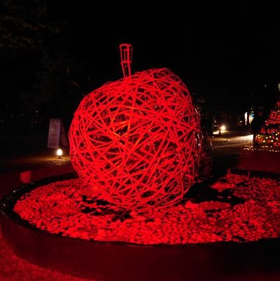 axel_m0610's profile picture. どこかのお薬の仕事💊🥼