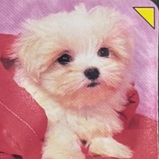 mrrrrry__'s profile picture. 