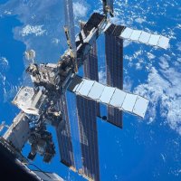 erysion ☮️ (@emzdao) 's Twitter Profile