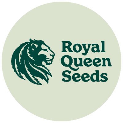 RQS Official X account #GrowHigher 🌱🚀
Enjoy 20% off with the code RQSX20
x2 Times Best Seed Bank of the Year 2025 🏆🔞