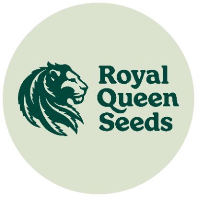 royalqueenseeds Profile Picture