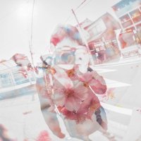 pei.( ´ ω`) (@p19beeeee) 's Twitter Profile Photo pei.( ´ ω`) (@p19beeeee) 's Twitter Profile Photo