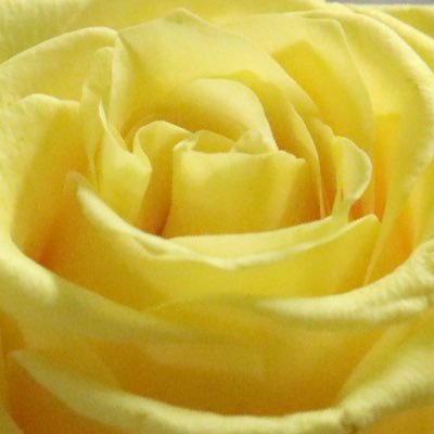 samm6___'s profile picture. 