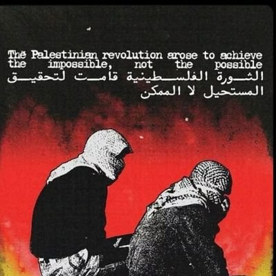 🇵🇸
Every accusation is a confession