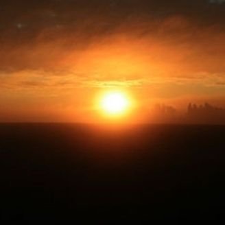 lislhv's profile picture. 