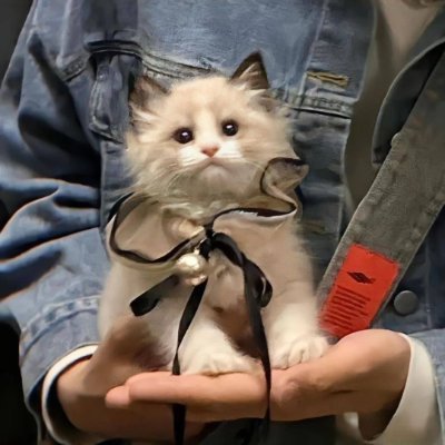 xnEbDCme2OUtY7k's profile picture. ✨ツイッター初心者で、左手は旅行、冒険です。私は奇妙な1人の女性で、どうぞよろしくお愿いします💖