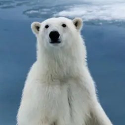 kalakadis1's profile picture. 