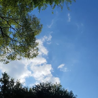 SoonbokPar63726's profile picture. 숫자와 소문이 감정을 흔들고, 그 감정이 세상까지 파동을 만든다.