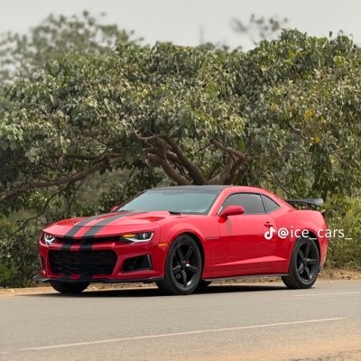 FusseniMoh67034's profile picture. 