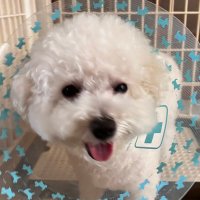 みっちー(@PwvflSuFII1j6fR) 's Twitter Profile Photo
