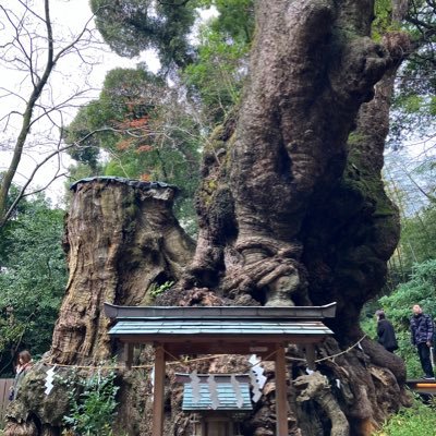 OSgBkXAfUc95083's profile picture. 