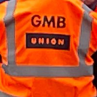 Elaine King 💙 Join A Union(@gmbelaine) 's Twitter Profile Photo