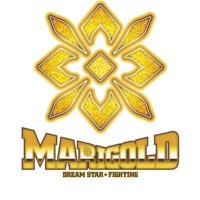 Marigold Joshi (@marigold_joshi) 's Twitter Profile