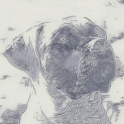 Forever_TJCY's profile picture. 