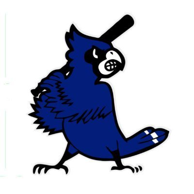 WHSBlueJaysBSB Profile Picture