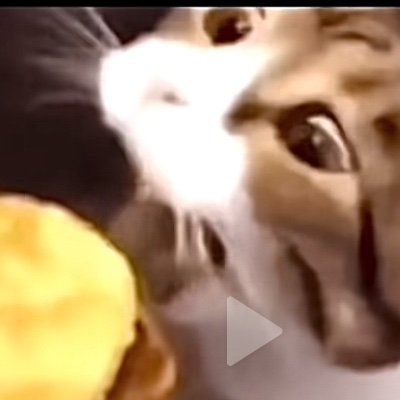 Money5080773203's profile picture. 