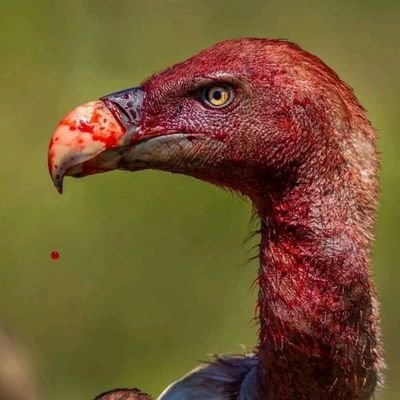 tt07682285's profile picture. 