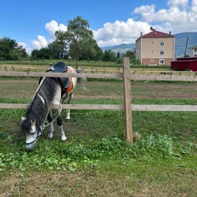 96tagreed1's profile picture. 