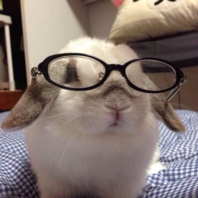 RTunpitcha's profile picture. 