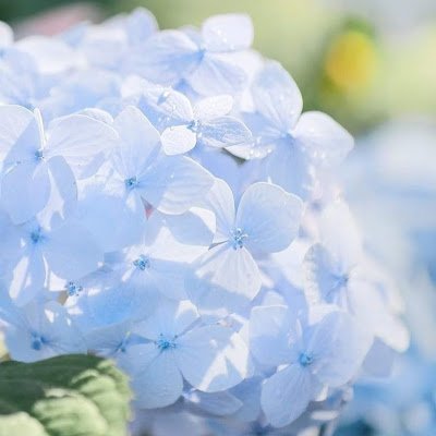 Punmine_Evie's profile picture. 