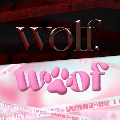 Wolf, Woof 2024 도은호 생일 카페