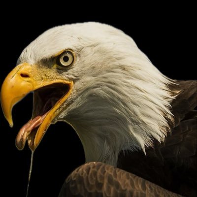 deltaHOTSNEK's profile picture. I’m just bored