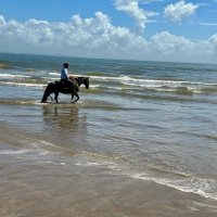 Pedro Heguy (@p_heguy) 's Twitter Profile