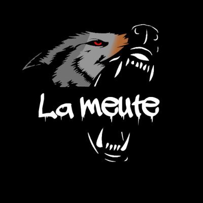 lameute_prod Profile Picture